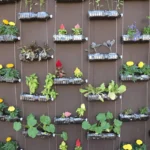 Small Garden Ideas