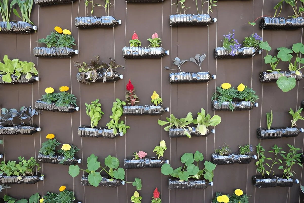 Small Garden Ideas